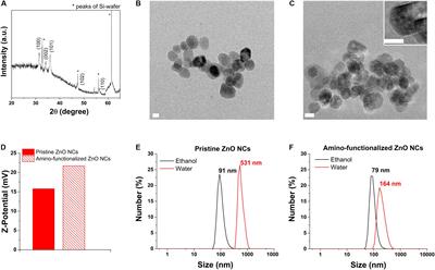 Zinc Oxide Nanocrystals and High-Energy Shock Waves: A New Synergy for the Treatment of Cancer Cells